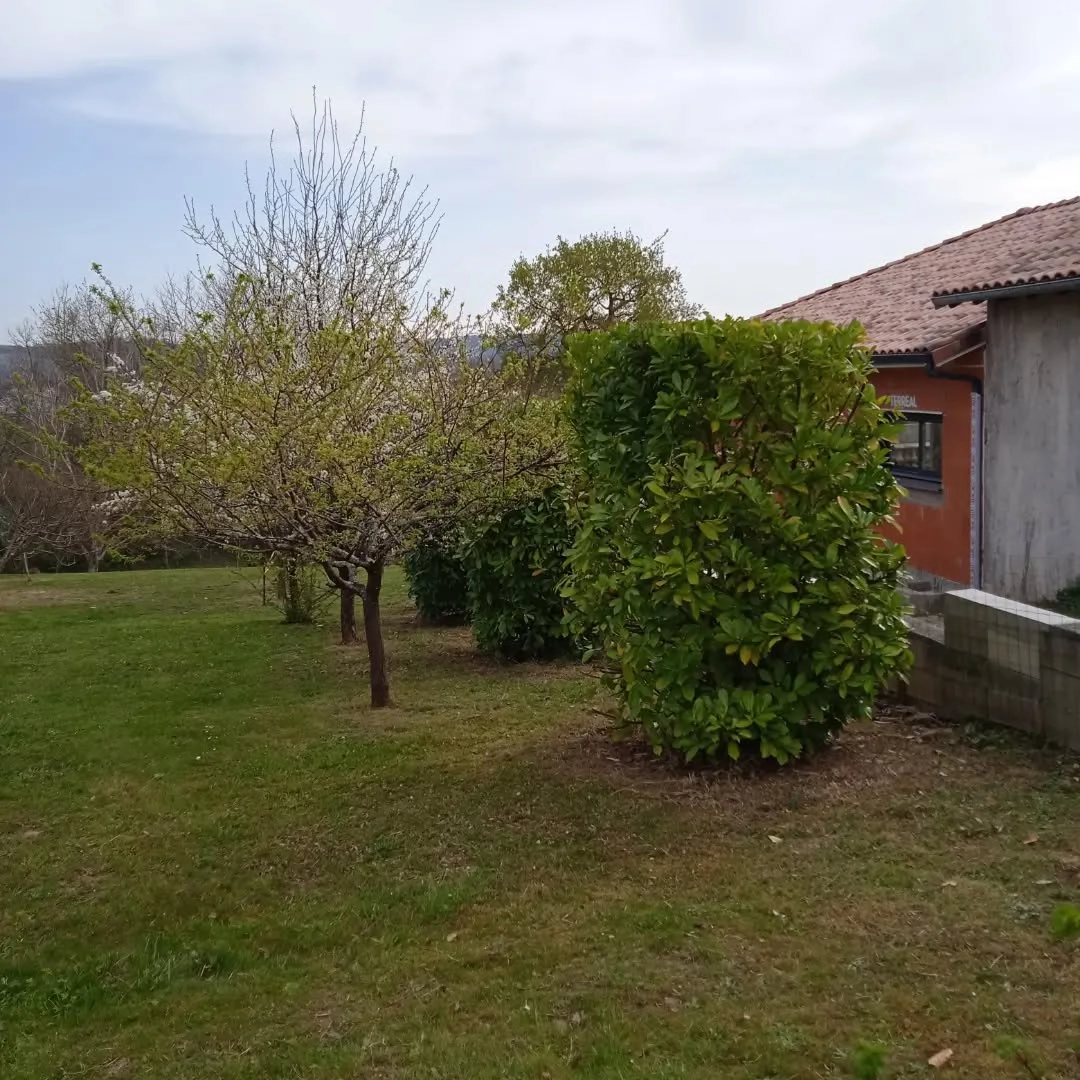 Au Jardin – Alladio Jérôme aménagement de jardin et tonte de pelouse
