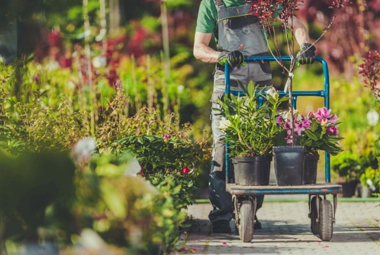 Au Jardin – Alladio Jérôme nos services : services plantes et aménagement
