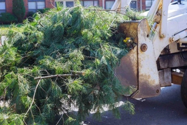 Au Jardin – Alladio Jérôme nos services : évacuation des déchets